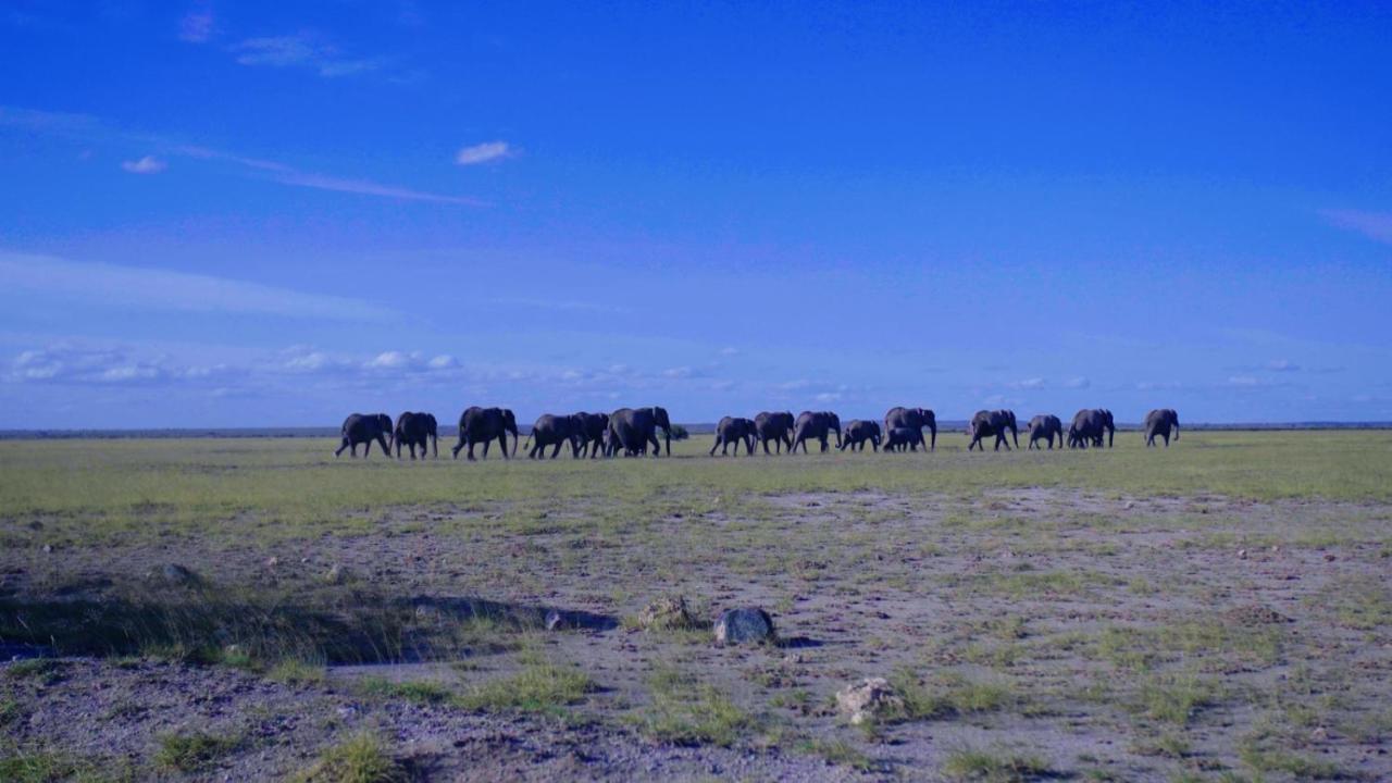Amboseli Gateway Hotel Kimana Zewnętrze zdjęcie